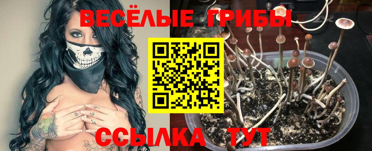 Верхний Уфалей  Псилоцибиновые грибы Magic Shrooms  Галлюциногенные грибы Magic Shrooms  закладки  Вход с VPN 